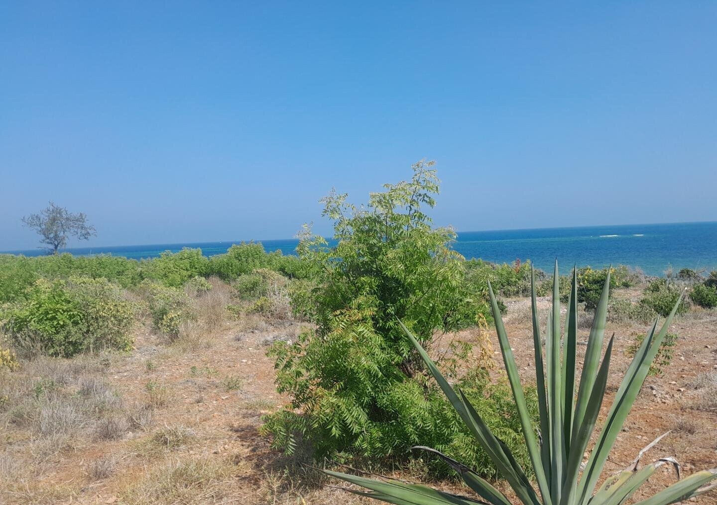 3.2-Acre Beachfront Property in Shanzu