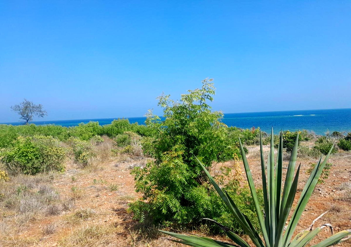 3.2-Acre Beachfront Property in Shanzu