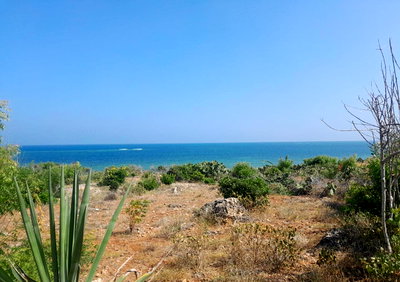 3.2-Acre Beachfront Property in Shanzu