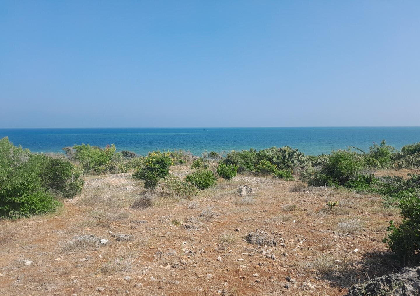 3.2-Acre Beachfront Property in Shanzu