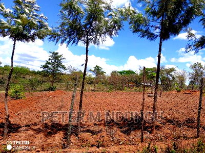 Prime 2 Acres on Sale , Kambiti - Image 8