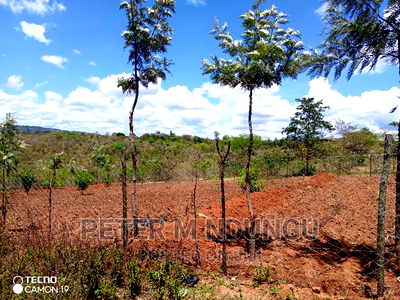 Prime 2 Acres on Sale , Kambiti - Image 7