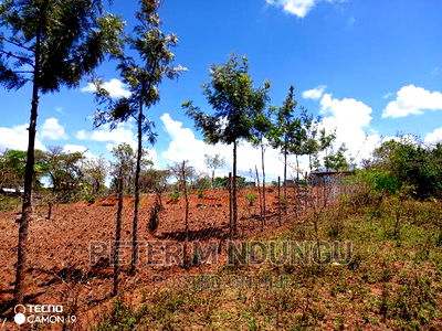 Prime 2 Acres on Sale , Kambiti - Image 9