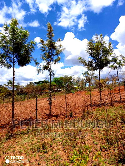 Prime 2 Acres on Sale , Kambiti - Image 5