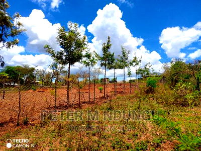 Prime 2 Acres on Sale , Kambiti - Image 6