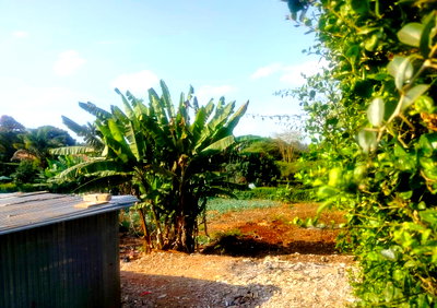 Half Acre Runda Gem at KSh 60M