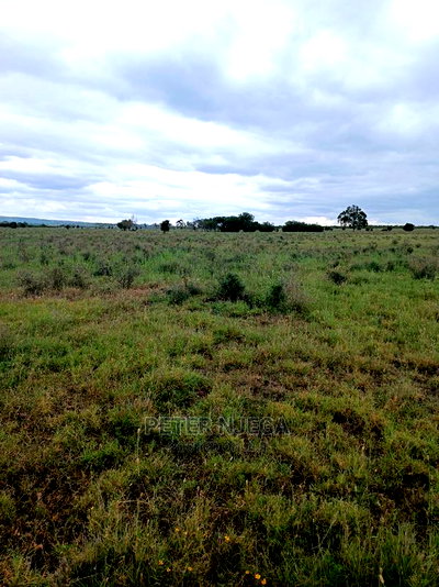 1/2 An Acre Isinya-kiserian Pipeline Road For Sale - Image 8