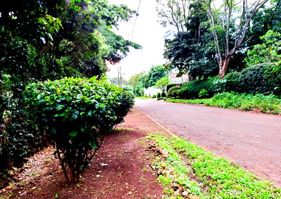 0.4 Acre Garden Plot with Parking - Kitisuru
