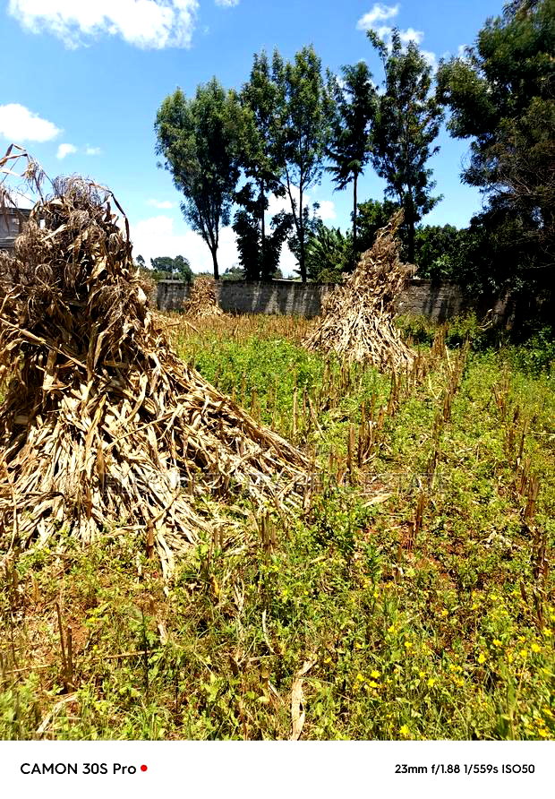 1/4 Plot Plus 1/8 Kiplombe Eldoret With Title.