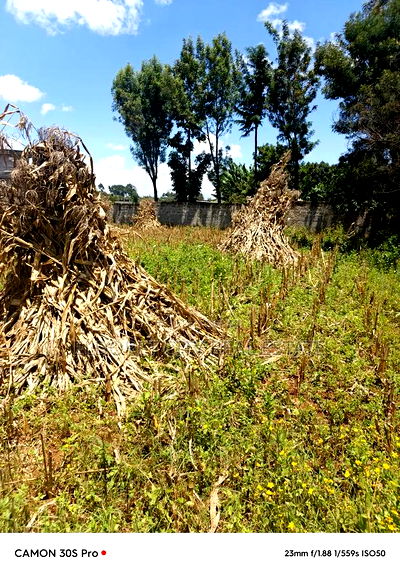 1/4 Plot Plus 1/8 Kiplombe Eldoret With Title. - Image 1