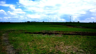 10 Acre Land for Sale in Acacia, Kitengela - Image 4