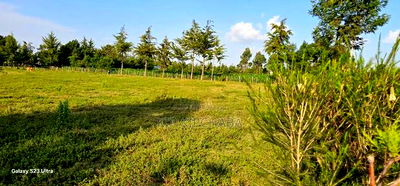 Several1 and 1/2 Acres Percels for Sale in Kapseret Eldoret - Image 7