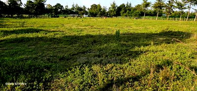 Several1 and 1/2 Acres Percels for Sale in Kapseret Eldoret - Image 5