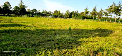 Several1 and 1/2 Acres Percels for Sale in Kapseret Eldoret - Image 4