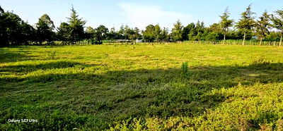 Several1 and 1/2 Acres Percels for Sale in Kapseret Eldoret - Image 2