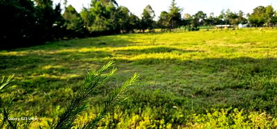 Several1 and 1/2 Acres Percels for Sale in Kapseret Eldoret - Image 6