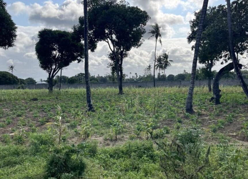 1 Acre Vipingo Land at KSh 15M
