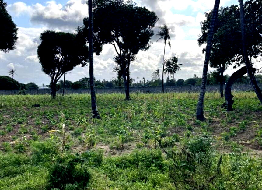 1 Acre Vipingo Land at KSh 15M