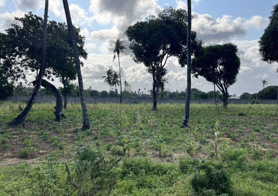 1 Acre Vipingo Land at KSh 15M