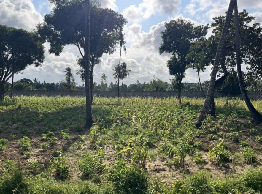 1 Acre Vipingo Land at KSh 15M