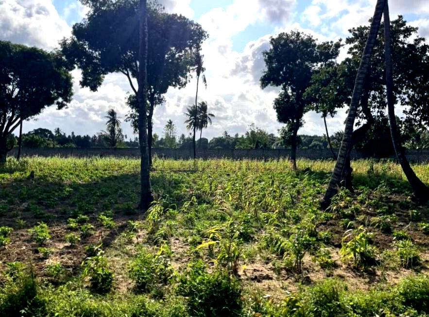 1 Acre Vipingo Land at KSh 15M