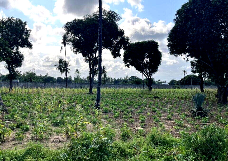 1 Acre Vipingo Land at KSh 15M