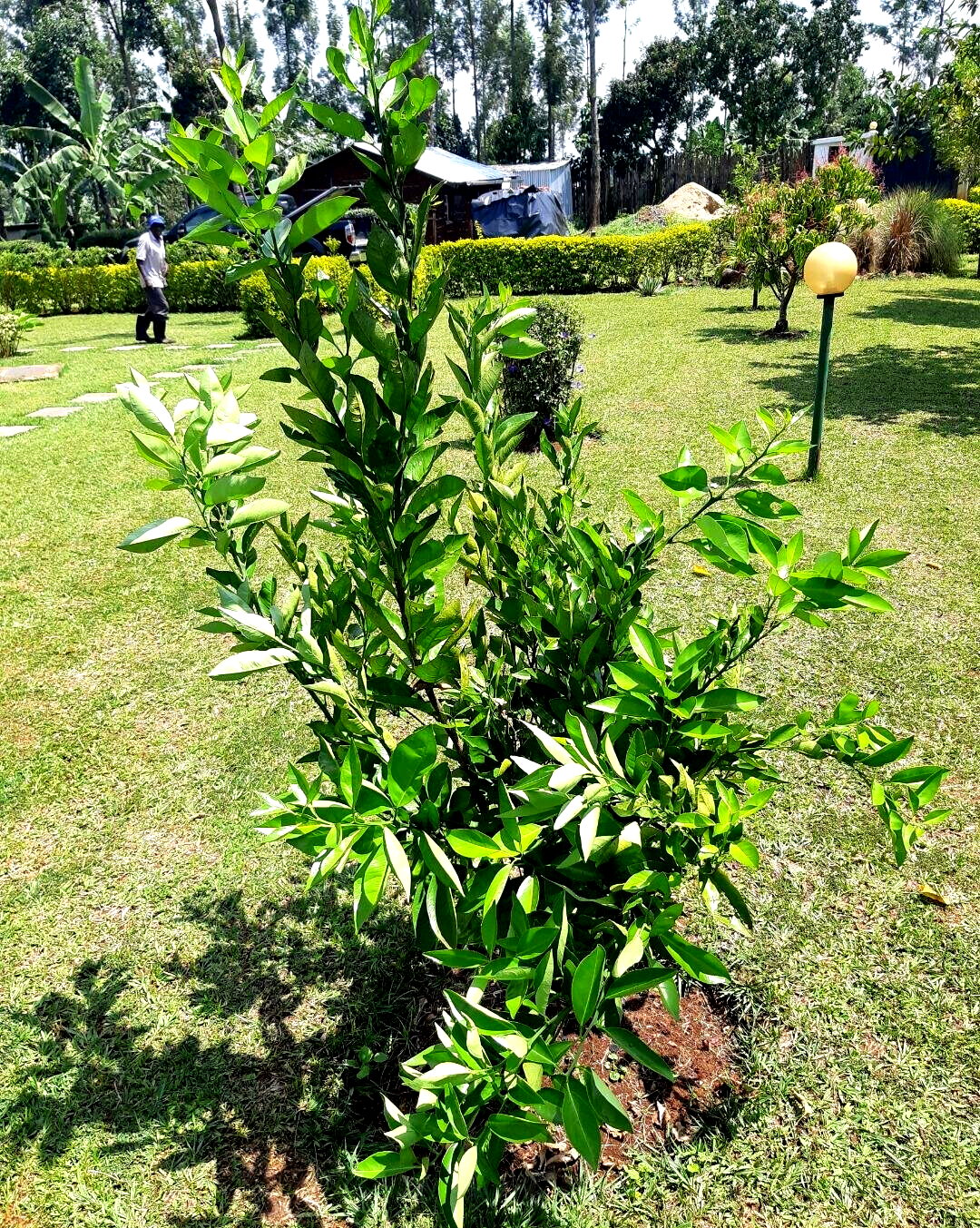 2.2-Acre Garden Plot in Westlands