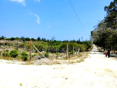 Mida Plots for Sale - Image 7