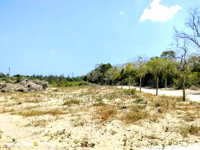 Mida Plots for Sale - Image 3