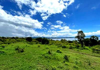 21.1-Acre Lakefront Property with Garden