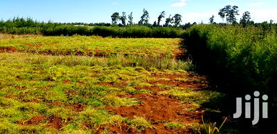 Residential Plots for Sale in Kapjagir in Eldoret - Image 2