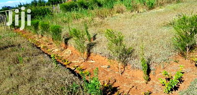 Residential Plots for Sale in Kapjagir in Eldoret - Image 8