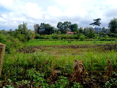 Prime Commercial 50 by 100 Plots in Kiserian - Image 1