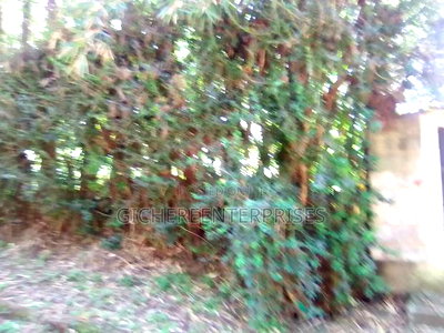 Kileleshwa Madera Road - Image 7