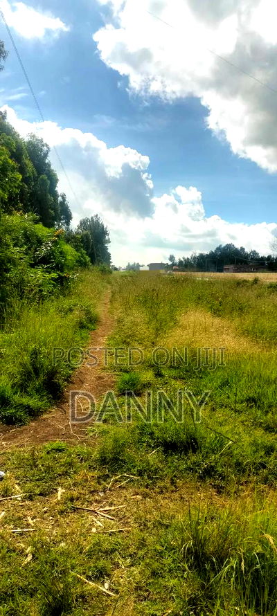 Ready Title 10/70 - Image 3