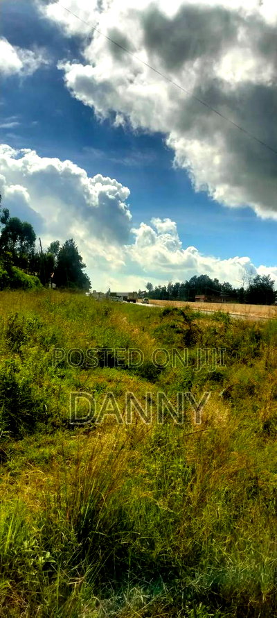 Ready Title 10/70 - Image 2