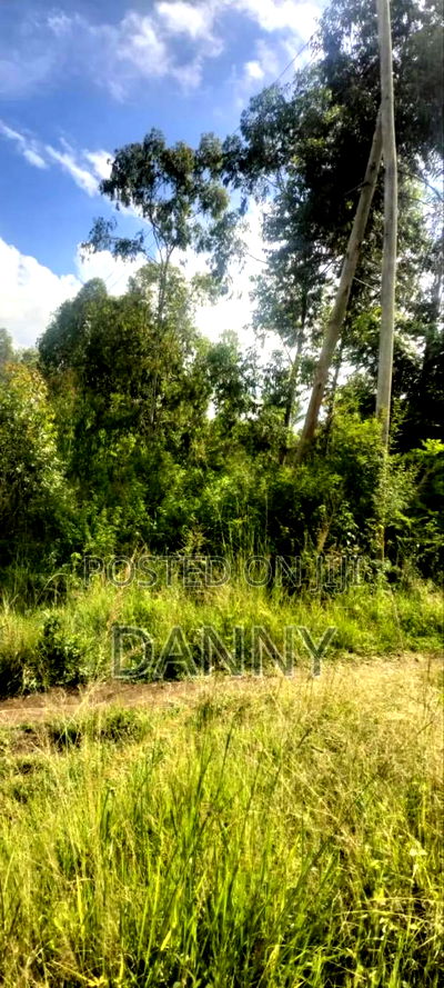 Ready Title 10/70 - Image 4