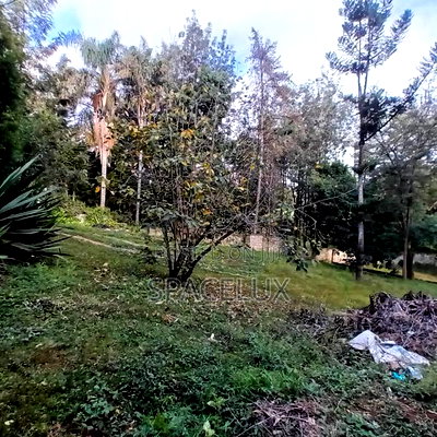 Silent Quiet Office - Image 3