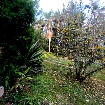 Silent Quiet Office - Image 4