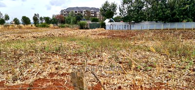 Commercial 1/4 Plot for Sale in Pioneer Shell in Eldoret - Image 6