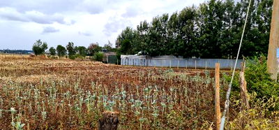 Commercial 1/4 Plot for Sale in Pioneer Shell in Eldoret - Image 5