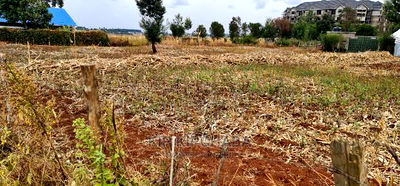 Commercial 1/4 Plot for Sale in Pioneer Shell in Eldoret - Image 9