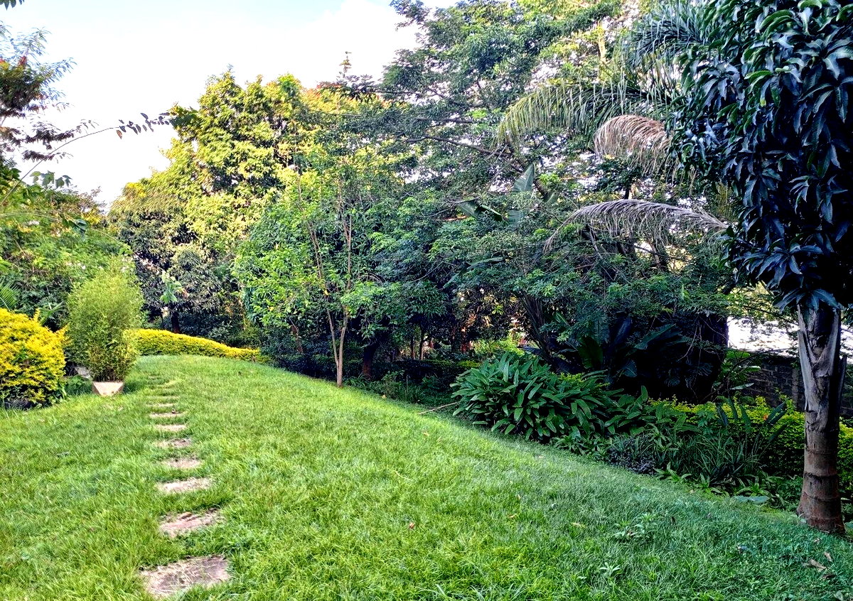 1-Acre Riverside Plot with Garden