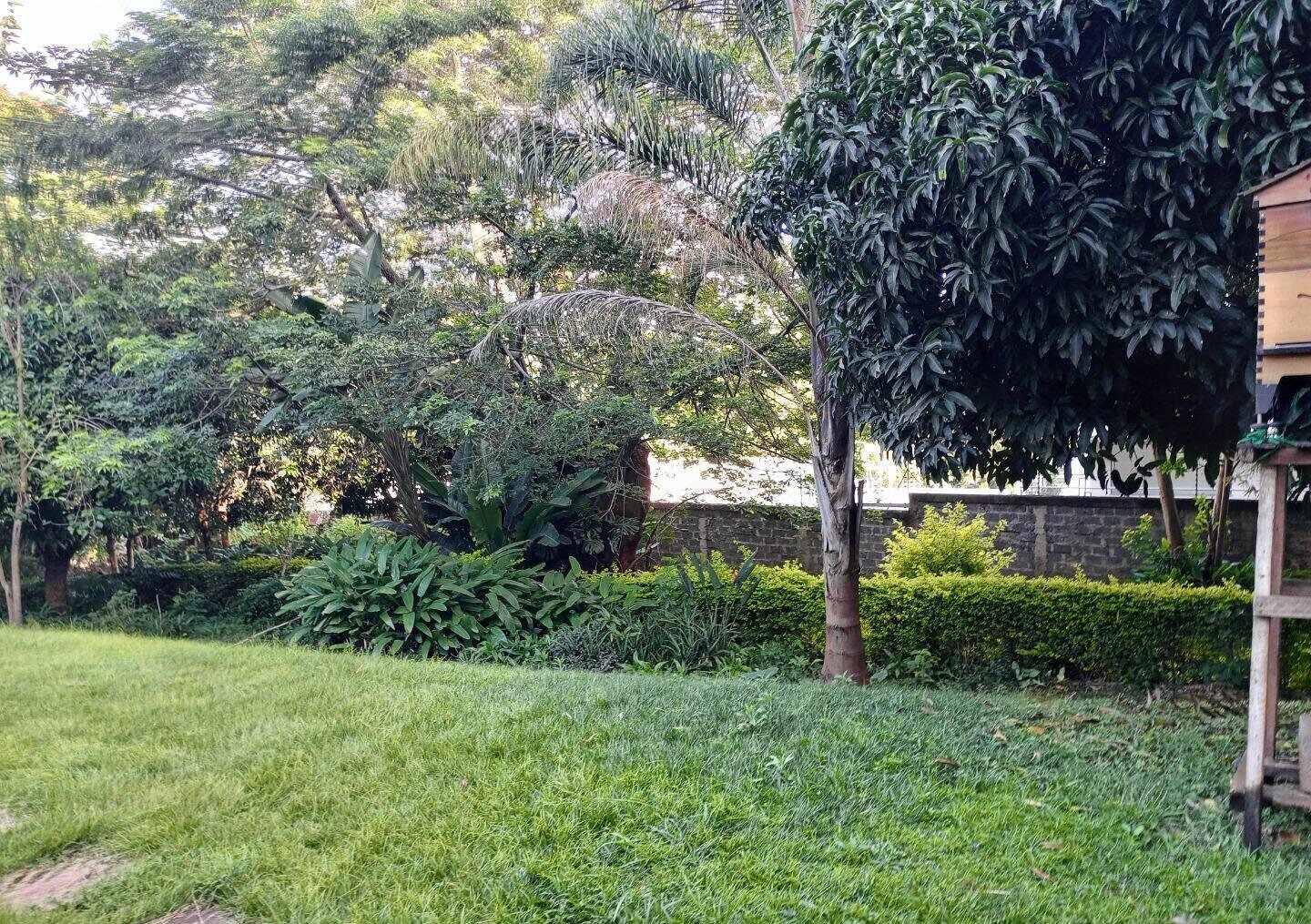1-Acre Riverside Plot with Garden