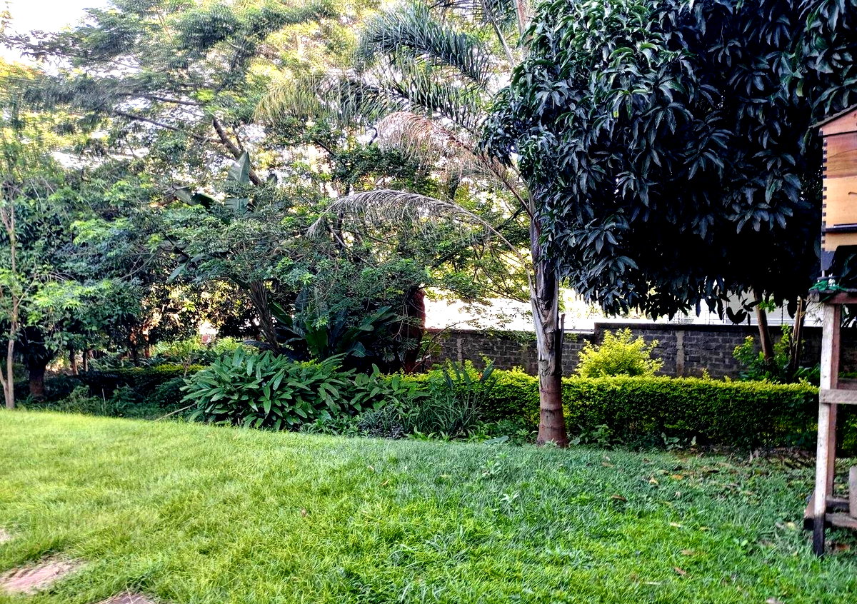 1-Acre Riverside Plot with Garden