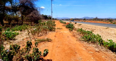 1 Acre Plot at KSh 3M