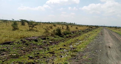 50x100 Plot for KSh 1M