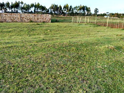 Plot for Sale in Ilula , Eldoret - Image 3
