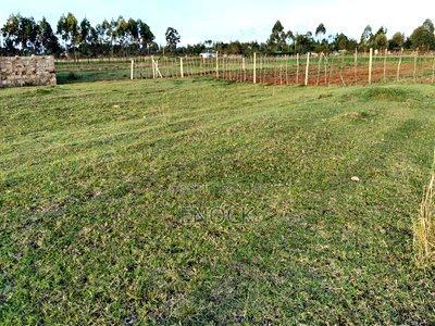Plot for Sale in Ilula , Eldoret - Image 8