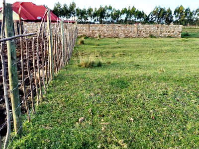 Plot for Sale in Ilula , Eldoret - Image 7